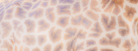 Banner shape giraffe background pattern for African travel theme