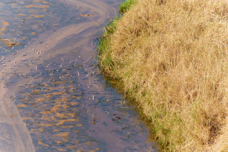 Aerial view of a section of Tarangire River, a water source for much life in the National Park in...