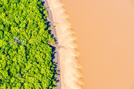 Natural tidal patterns below forming realistic effects formed by mudflat vegetation exposed when...