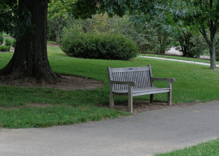Lonely Park Bench