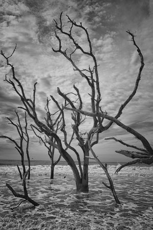 Botany Bay Beach, South Carolina