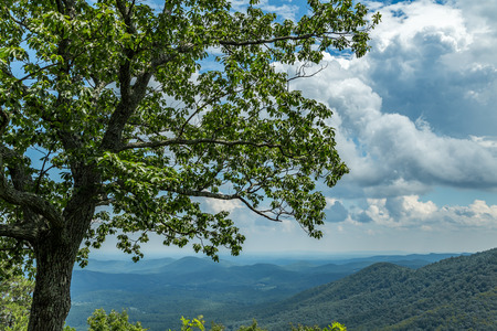 A view of the North Carolina countryside from the Blue Ridge Parkwayの写真素材