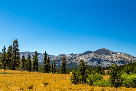 Mammoth Peak is at the northern end of the Kuna Crest in Yosemite National Park, very close to CA State route 120. Its summit appears rounded and rocky from the road. Not nearly as popular as the higher peaks in the area, it still provides great summit viの写真素材