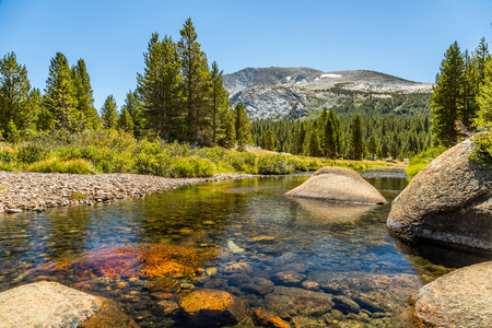 Mammoth Peak is at the northern end of the Kuna Crest in Yosemite National Park, very close to CA State route 120. Its summit appears rounded and rocky from the road. Not nearly as popular as the higher peaks in the area, it still provides great summit viの写真素材