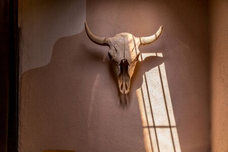 A bison skull decorates an adobe wall in Old Town, Albuqurque, New Mexicoの写真素材