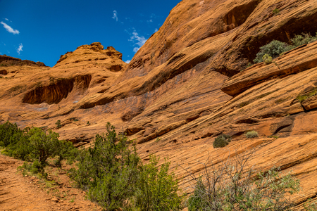 The Canyon de Chelly National Monument consists of many well-preserved Anasazi ruins and spectacular sheer red cliffs that rise up to 1000 feet.の写真素材