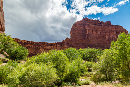 The Canyon de Chelly National Monument consists of many well-preserved Anasazi ruins and spectacular sheer red cliffs that rise up to 1000 feet.の写真素材