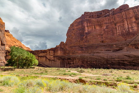 The Canyon de Chelly National Monument consists of many well-preserved Anasazi ruins and spectacular sheer red cliffs that rise up to 1000 feet.の写真素材