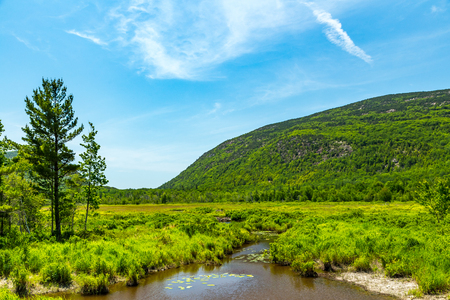 Beaver Dams are visible upstream at Cromwell Brook in Acadia National Park, Maine. Beaver dams are created as protection against predators, such as coyotes, wolves, and bears, and to provide easy access to food during winter.の写真素材