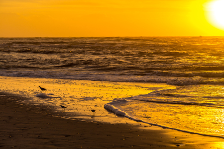 The sun rises at the beach on a cloudy morning over Amelia Island, Florida.の写真素材