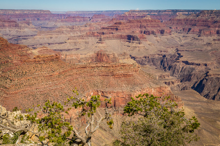 Along the Grand Canyon National Park in Arizona there are multiple lookouts and overlooks to see down into the canyon.の写真素材