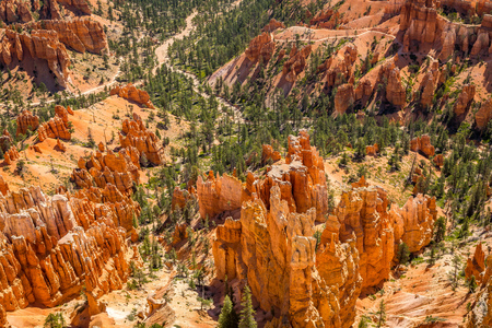 Along the Bryce Canyon National Park in Utah there are multiple lookouts and overlooks to see down into the canyon.の写真素材