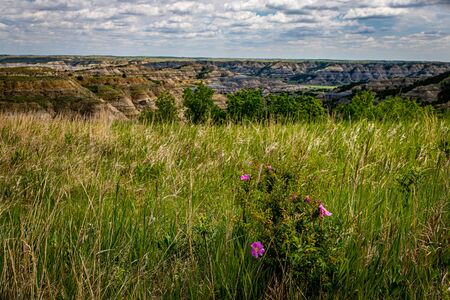 A panoramic view from the scenic drive at the North Unit of Theodore Roosevelt National Park in western North Dakota.の写真素材
