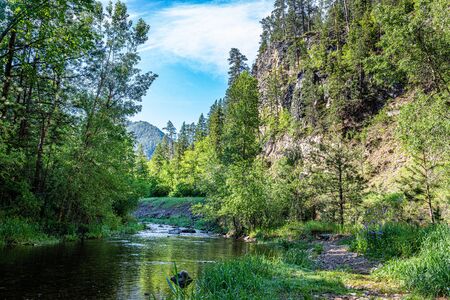 Surrounded by the Black Hills National Forest, Spearfish Creek is a fly fishing paradise and holds one of the finest populations of wild rainbow trout in the Black Hills.の写真素材