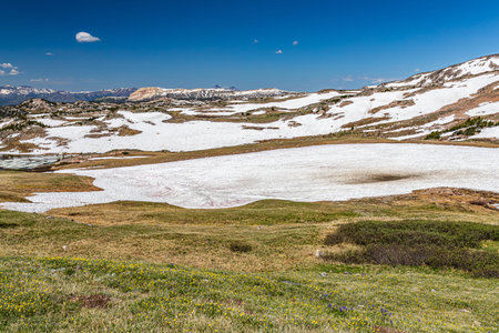 The Beartooth Highway is a section of U.S. Route 212 in Montana and Wyoming between Red Lodge and...