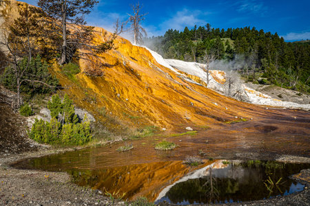 Mammoth Hot Spring at Yellowstone National Park in Wyoming.の写真素材