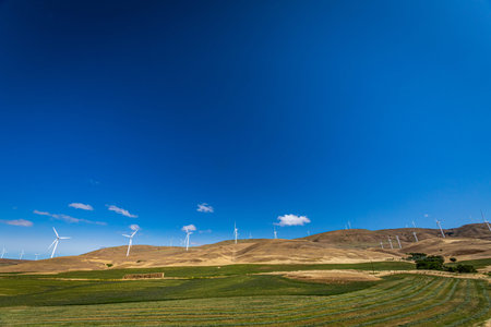 Windmills in a field along the Columbia River Gorge on the border between Washington and Oregon.