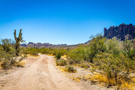 Desert views along Arizona State Rout 88, a former stagecoach route known as the Apache Trail.の写真素材