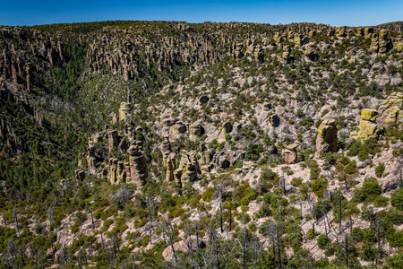Chiricahua National Monument features nearly 12,000 acres of Rhyolite pinnacles, some rising hundreds of feet in the air, and is known as the "Wonderland of Rocks."の写真素材