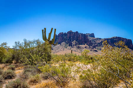 Desert views along Arizona State Rout 88, a former stagecoach route known as the Apache Trail.の写真素材