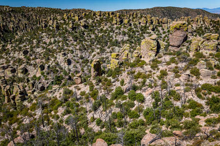 Chiricahua National Monument features nearly 12,000 acres of Rhyolite pinnacles, some rising hundreds of feet in the air, and is known as the "Wonderland of Rocks."の写真素材