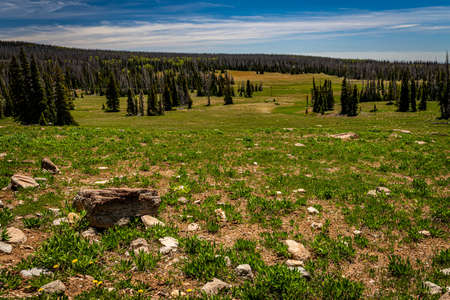 Cedar Breaks National Monument is a natural amphitheater canyon at an elevation of ten thousand feet stretching three miles wide and over a half mile deep near Cedar City, Utah.の写真素材