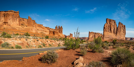 Sandstone rock formations including arches, natural bridges, windows, and pinnacles dominate the...