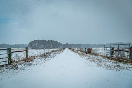 A winter snow storm blankets the southeast.のeditorial素材