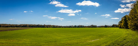 Agricultural fields along a rural road in Parke County, Indiana during Autumn leaf color change.
