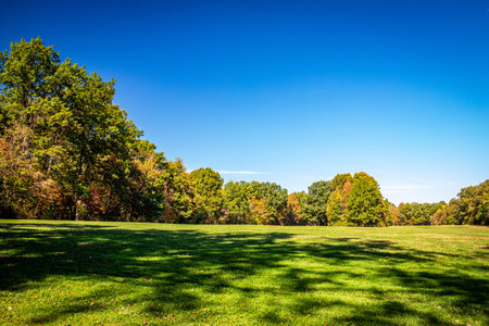 Trees along the Ledges Trail during Autumn leaf color change at Cuyahoga Valley National Park...