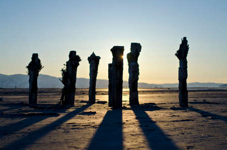 wooden pier post at the old great salt lake state park in utah durning a calm sunset.の写真素材
