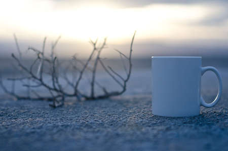 A blank white coffee mug on the ground with the dead life of the great salt lake wasteland.の写真素材