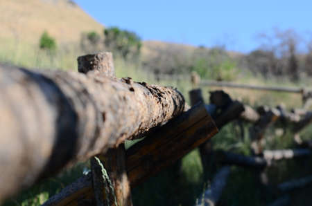 A long wooden fence post made from fresh trees still in the original form.の写真素材