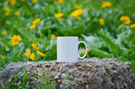 A blank white coffee mug in a field of yellow flowers.の写真素材