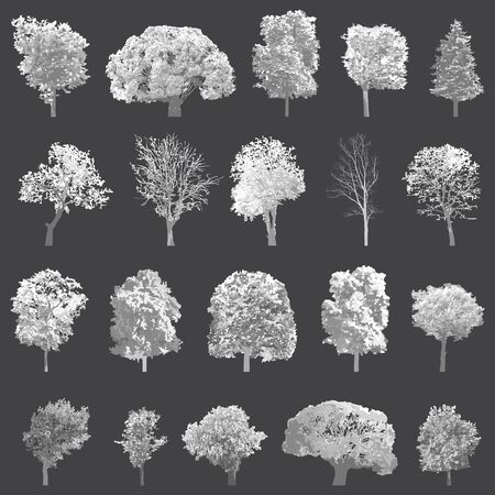 Set of isolated treesのイラスト素材