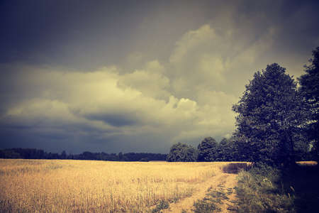 Dark Landscape with Field and Moody Sky. HDR Cloudscape. Toned Photo with Copy Space.の写真素材