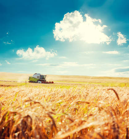 Working Harvesting Combine in the Field of Wheat. Agriculture Concept. Toned Photo with Copy Space. Working Harvesting Combine in the Field of Wheat. Agriculture Concept. Toned Photo with Copy Space.