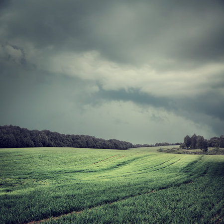 Dark Landscape with Field and Moody Sky. Gray Cloudscape. Toned Photo with Copy Space.