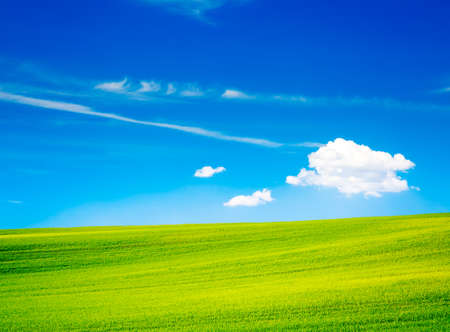 Wavy Green Field on the Background of Beautiful Blue Sky and White Clouds. Countryside Landscape in Summer. Peaceful and Calm Scenery. Toned Photo with Copy Space.の写真素材