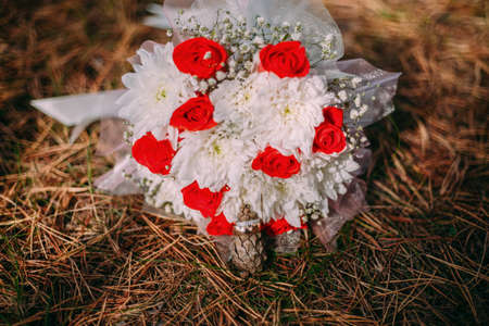 details wedding rings leaves autumn nature sunの写真素材