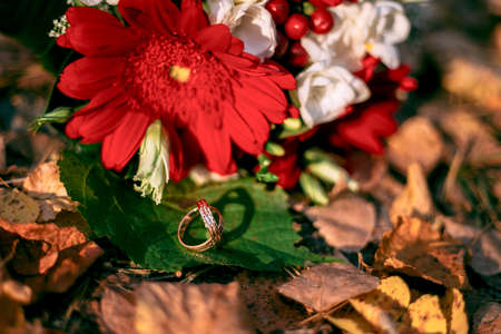 details wedding rings leaves autumn nature sunの写真素材