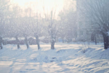 Snowy nature winter background trees texture textの写真素材