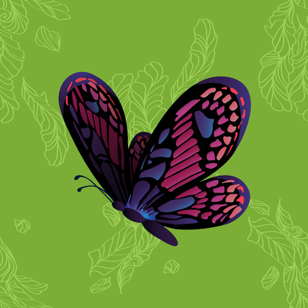 Monarch Butterfly on green background. Vector cartoon colorful illustrationのイラスト素材