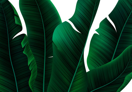 Tropical Realistic Palm Leaves. Vector Floral Pattern on White Background. Exotic Jungle Wallpaper.のイラスト素材