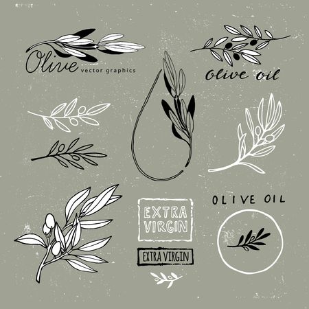 Set of Hand Drawn Olive Branches. Vector Plant Shapes. Illustration for Extra Virgin Olive Oil Packaging.のイラスト素材
