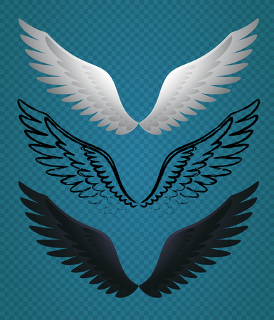 Set of Vector Bird Wings. Minimalist Illustration of White, Black and Sketch Wings.のイラスト素材
