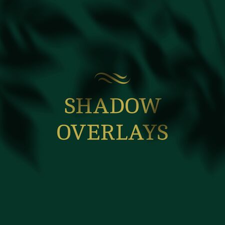 Vector Transparent Shadows of Leaves. Decorative Design Element for Collage and Mock Up. Overlay Effect for Mockupsのイラスト素材