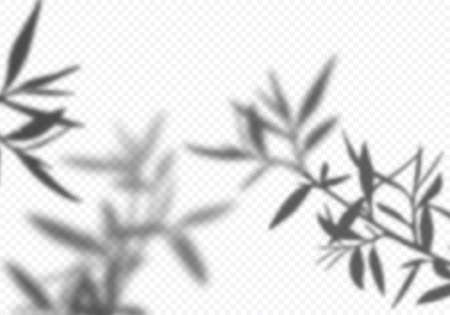 Realistic Vector Transparent Shadow of Tree Leaves. Decorative Design Element. Creative Overlay Effectのイラスト素材
