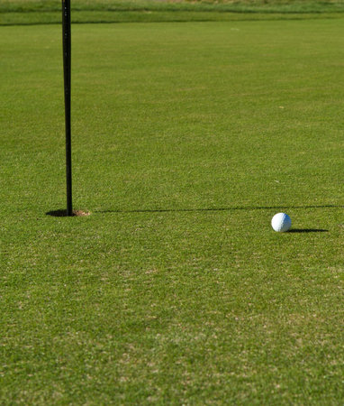 Golf Ball Close to the Hole With Pin