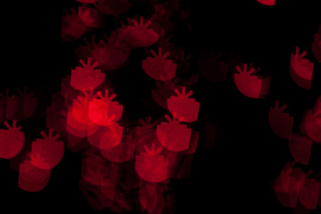 Red Christmas Present Lights Bokeh